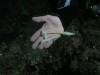Thumbs/tn_026.jpg