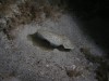 Thumbs/tn_050.jpg