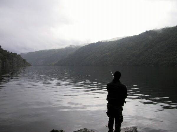 ../Images/0001.JPG